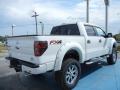 2013 F150 FX4 SuperCrew 4x4 #3