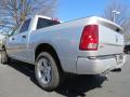 2013 1500 Express Crew Cab #2