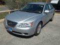 2010 Sonata GLS #2