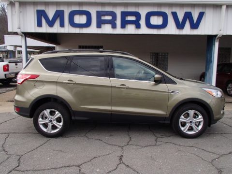 Ginger Ale Metallic Ford Escape SE 1.6L EcoBoost 4WD.  Click to enlarge.