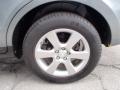 2007 Santa Fe Limited 4WD #9