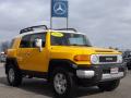 2010 FJ Cruiser 4WD #3