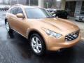Front 3/4 View of 2010 Infiniti FX 35 AWD #2