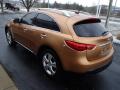 2010 FX 35 AWD #6