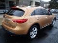  2010 Infiniti FX Mojave Copper #8