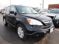 2009 CR-V EX-L 4WD #2
