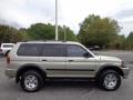 2003 Montero Sport LS #10
