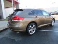 2010 Venza V6 #32 2010 Venza V6 #32