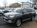 2010 4Runner Limited 4x4 #3