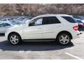 2010 ML 550 4Matic #3 2010 ML 550 4Matic #3