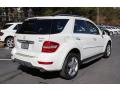 2010 ML 550 4Matic #6 2010 ML 550 4Matic #6