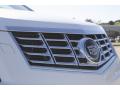 2013 SRX Performance FWD #9