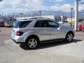 2008 ML 350 4Matic #12 2008 ML 350 4Matic #12