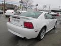 2001 Mustang GT Coupe #6