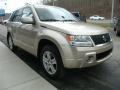 2006 Grand Vitara Luxury 4x4 #3