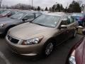 2009 Accord LX Sedan #3