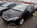 2010 Insight Hybrid EX #3
