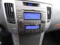 2010 Sonata Limited #17