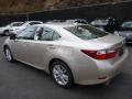 2013 ES 350 #2