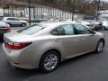 2013 ES 350 #4