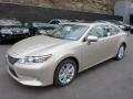 2013 ES 350 #8