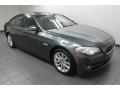2012 5 Series 528i Sedan #8