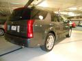 2007 SRX V6 #5 2007 SRX V6 #5