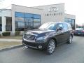 2011 QX 56 4WD #2
