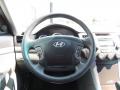 2010 Sonata GLS #14
