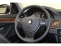 2012 5 Series 528i Sedan #33