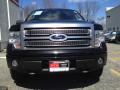 2010 F150 Platinum SuperCrew 4x4 #2