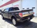 2010 F150 Platinum SuperCrew 4x4 #4