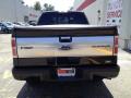 2010 F150 Platinum SuperCrew 4x4 #5