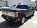2010 F150 Platinum SuperCrew 4x4 #6