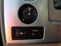 2010 F150 Platinum SuperCrew 4x4 #20