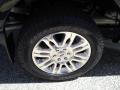 2010 F150 Platinum SuperCrew 4x4 #22