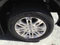 2010 F150 Platinum SuperCrew 4x4 #28
