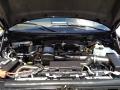 2010 F150 Platinum SuperCrew 4x4 #29