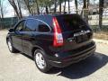 2010 CR-V EX-L AWD #5