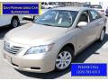 2009 Camry Hybrid #1