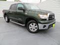 2010 Tundra SR5 CrewMax #2 2010 Tundra SR5 CrewMax #2