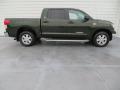 2010 Tundra SR5 CrewMax #3 2010 Tundra SR5 CrewMax #3