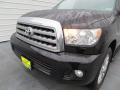 2010 Sequoia Limited #10