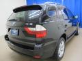 2007 X3 3.0si #7