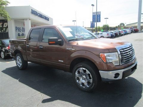 Golden Bronze Metallic Ford F150 XLT SuperCrew.  Click to enlarge.
