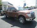 2011 Ford F150 XLT SuperCrew Golden Bronze Metallic 2011 Ford F150 XLT SuperCrew Golden Bronze Metallic