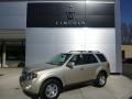 2012 Escape Limited V6 4WD #1 2012 Escape Limited V6 4WD #1