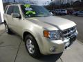 2012 Escape Limited V6 4WD #7 2012 Escape Limited V6 4WD #7