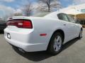 2013 Charger SE #3