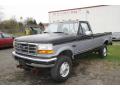 1996 F250 XL Regular Cab 4x4 #3